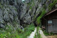 2014-07-24_OsterfelderKopf (135).JPG